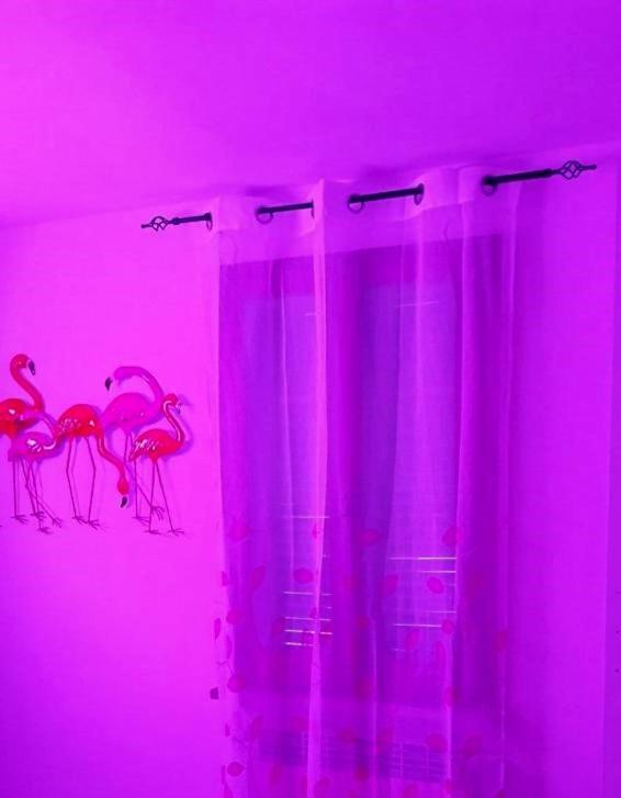 La Casa Colorata Apartman Città di Castello Kültér fotó